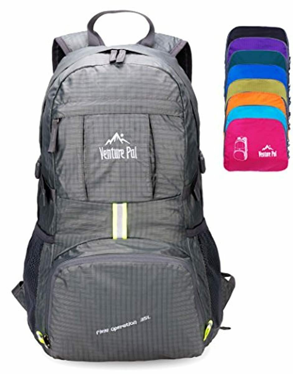 venture pal daypack